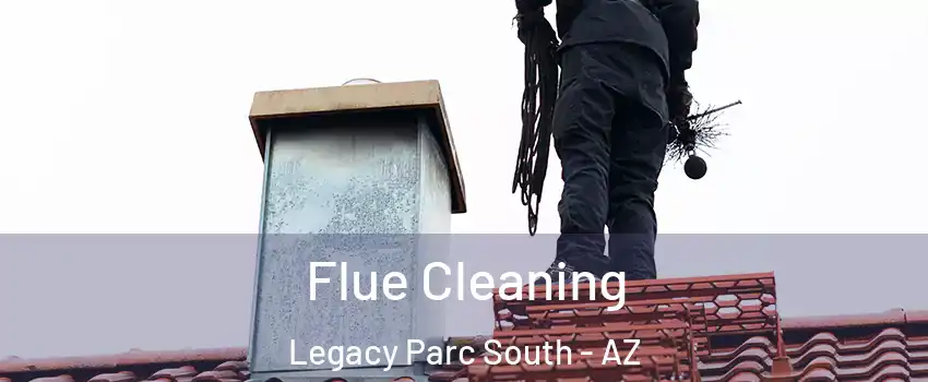 Flue Cleaning Legacy Parc South - AZ