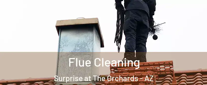 Flue Cleaning Surprise at The Orchards - AZ