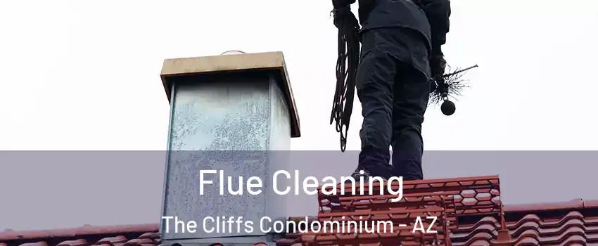 Flue Cleaning The Cliffs Condominium - AZ