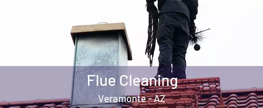 Flue Cleaning Veramonte - AZ
