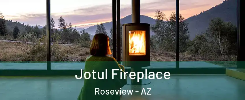 Jotul Fireplace Roseview - AZ