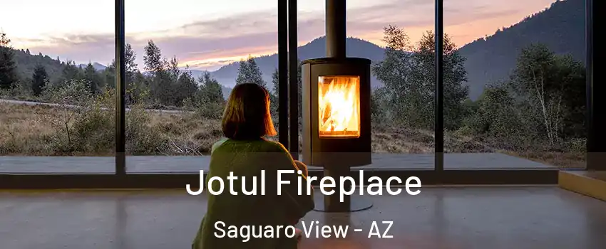 Jotul Fireplace Saguaro View - AZ