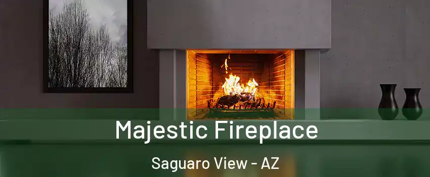 Majestic Fireplace Saguaro View - AZ