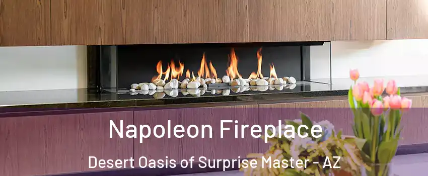 Napoleon Fireplace Desert Oasis of Surprise Master - AZ