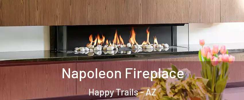 Napoleon Fireplace Happy Trails - AZ