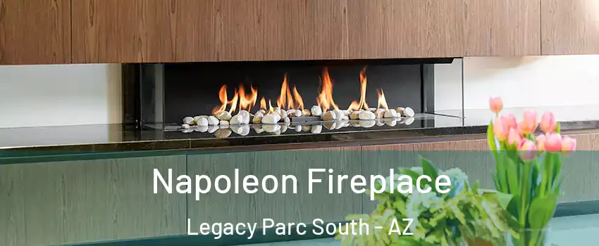 Napoleon Fireplace Legacy Parc South - AZ