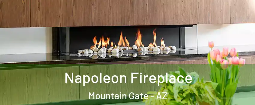Napoleon Fireplace Mountain Gate - AZ