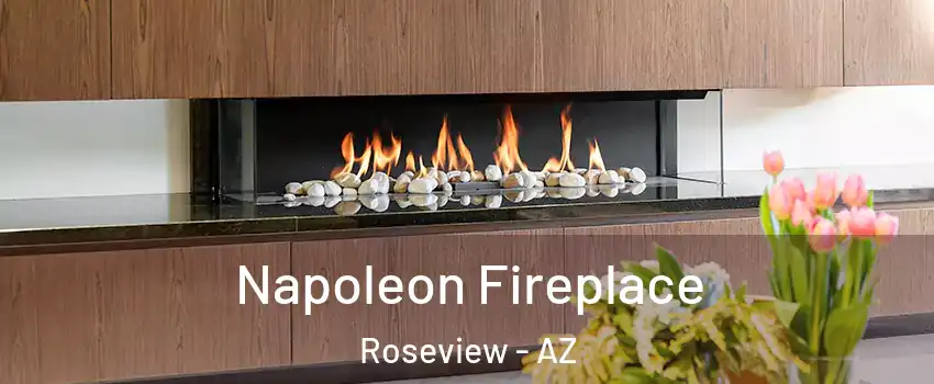 Napoleon Fireplace Roseview - AZ