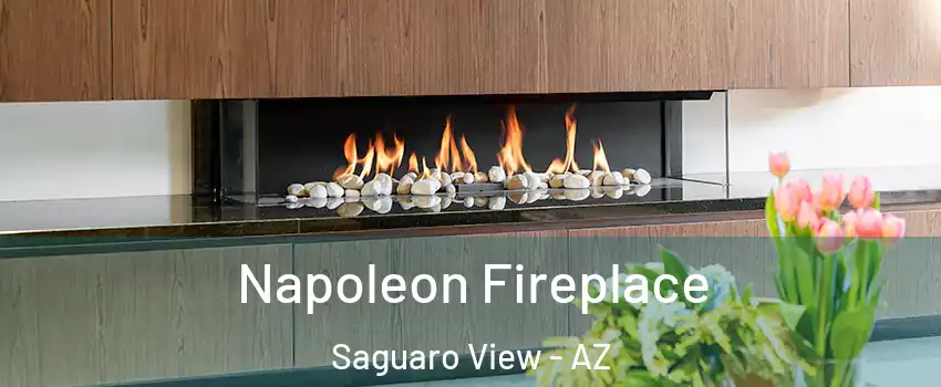 Napoleon Fireplace Saguaro View - AZ