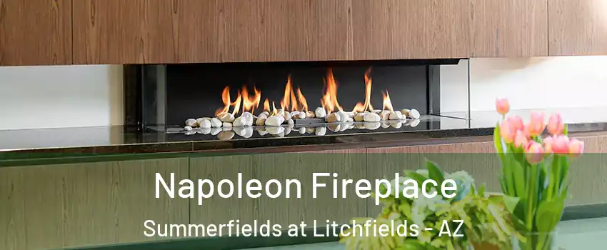 Napoleon Fireplace Summerfields at Litchfields - AZ