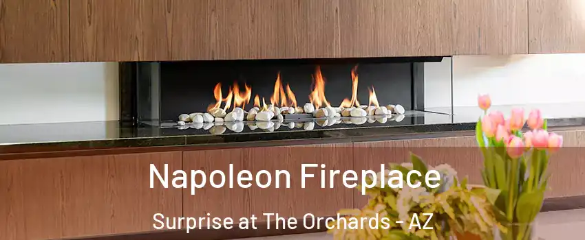 Napoleon Fireplace Surprise at The Orchards - AZ