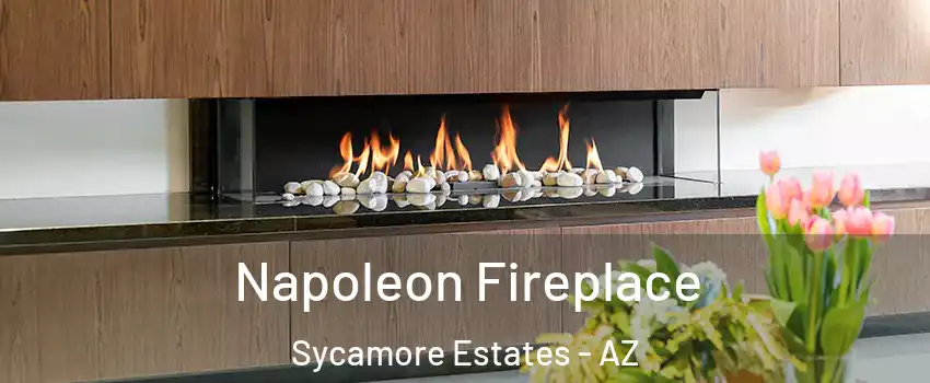 Napoleon Fireplace Sycamore Estates - AZ