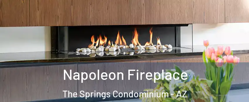 Napoleon Fireplace The Springs Condominium - AZ