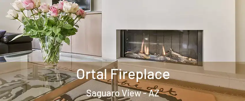 Ortal Fireplace Saguaro View - AZ