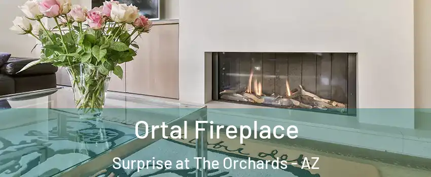 Ortal Fireplace Surprise at The Orchards - AZ