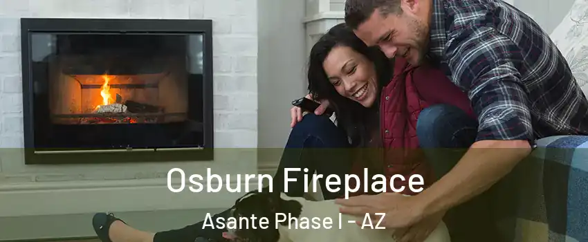 Osburn Fireplace Asante Phase l - AZ