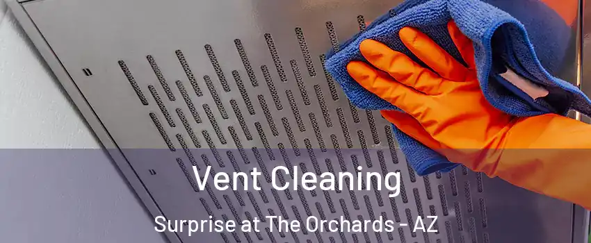Vent Cleaning Surprise at The Orchards - AZ
